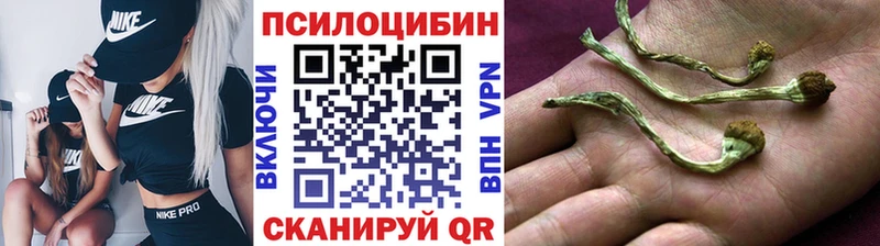 где купить наркоту  Ленинск  Псилоцибиновые грибы мицелий 