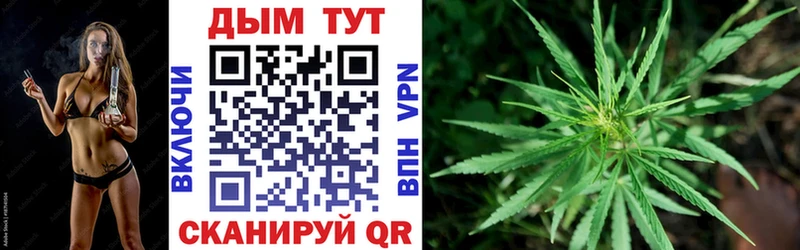Бошки Шишки планчик  сколько стоит  Ленинск 